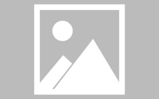 丹阳新区景区网站建设（in art criticism,you must assume）